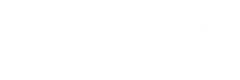 Logotipo de CARE