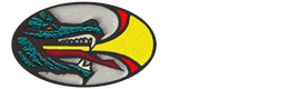 Dragon Slayer Consulting logo